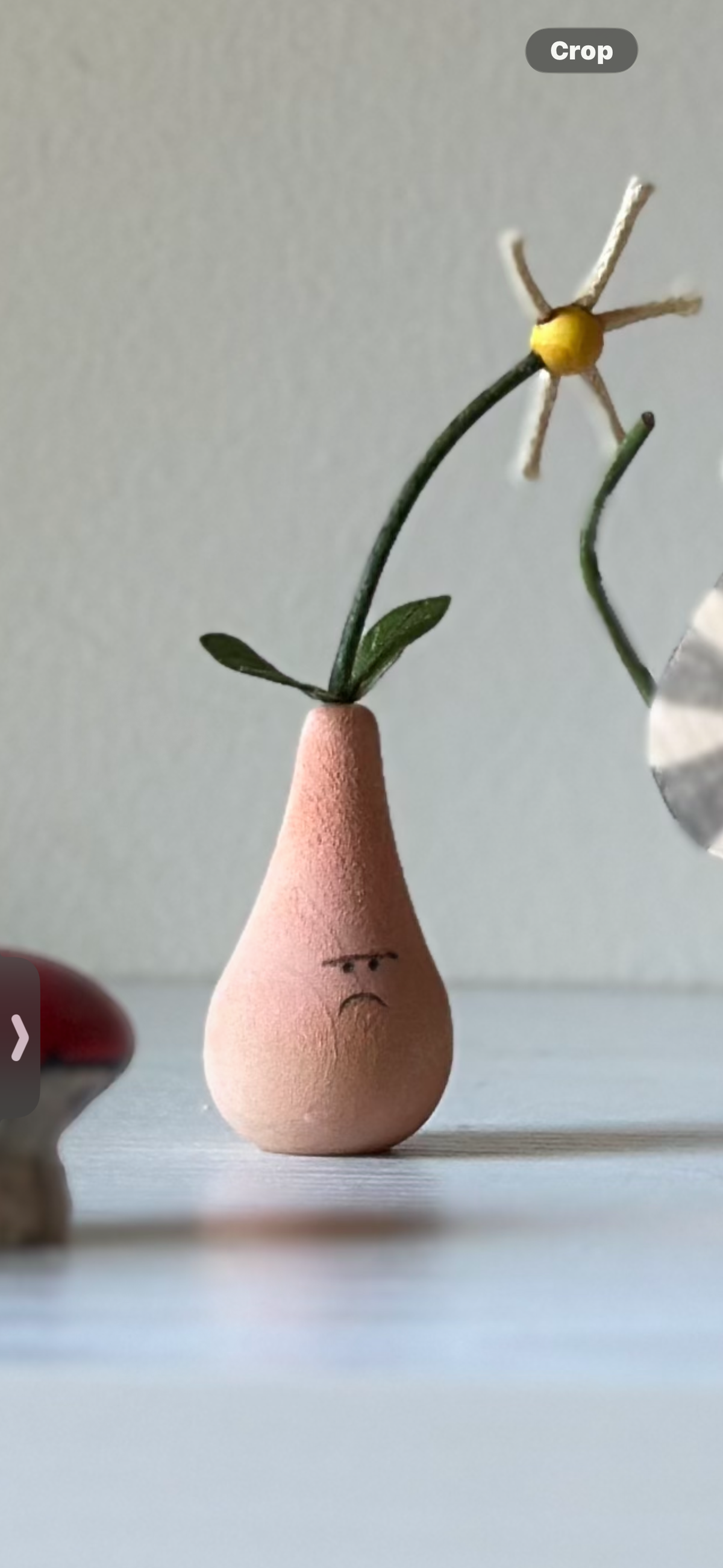 Grumpy Giliflower