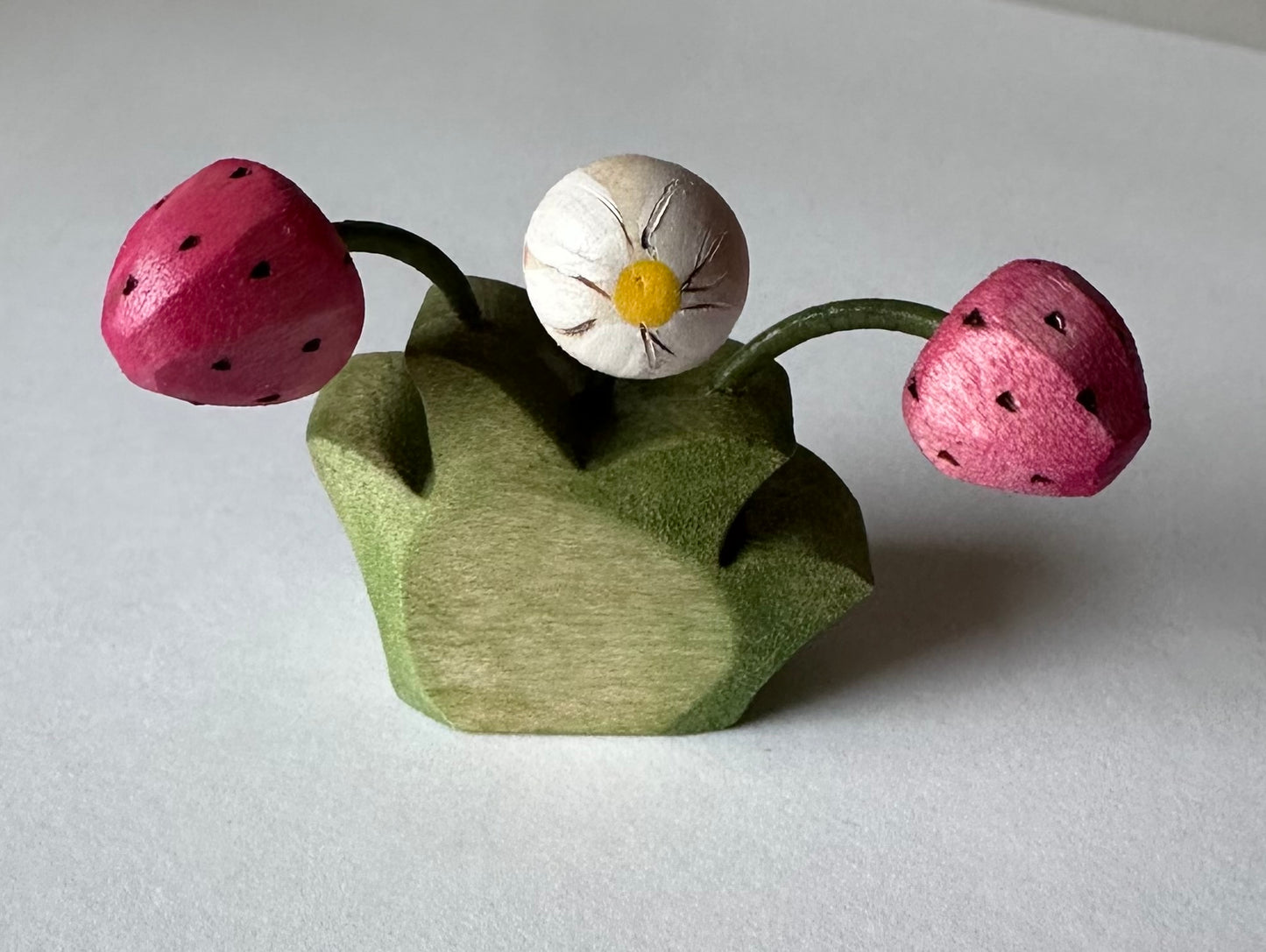 Strawberry Patch