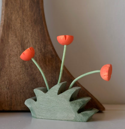 Poppy