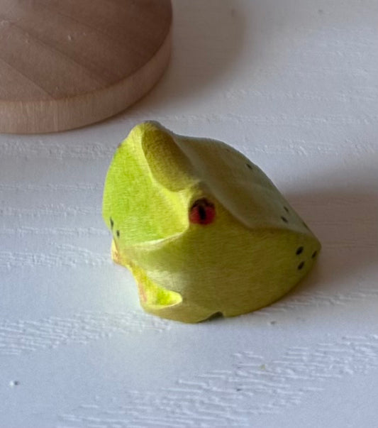 Tree Frog