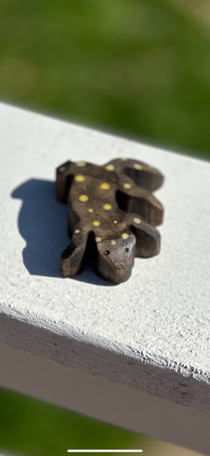 Salamander