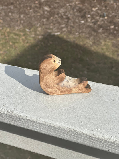 Harbor Seal